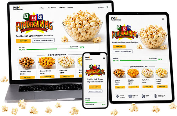 Online Web Store